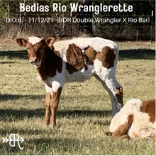 Bedias Rio Wranglerette