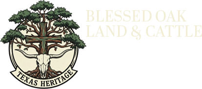 Blessed Oak Land & Cattle